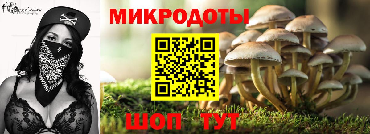 Сертолово  Псилоцибиновые грибы ЛСД  Псилоцибиновые грибы MAGIC MUSHROOMS  Вход с VPN 